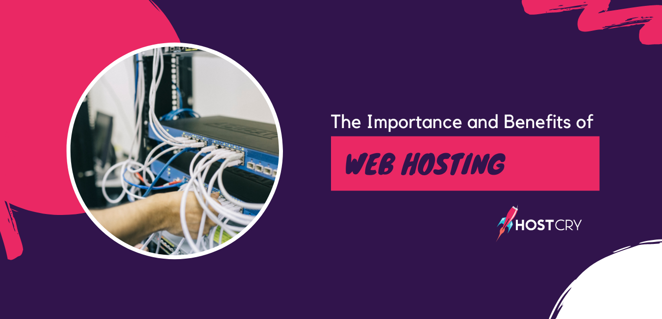 importance of web hosting